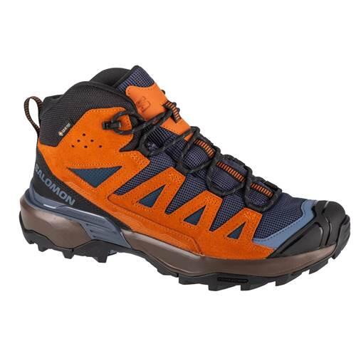 SALOMON picture