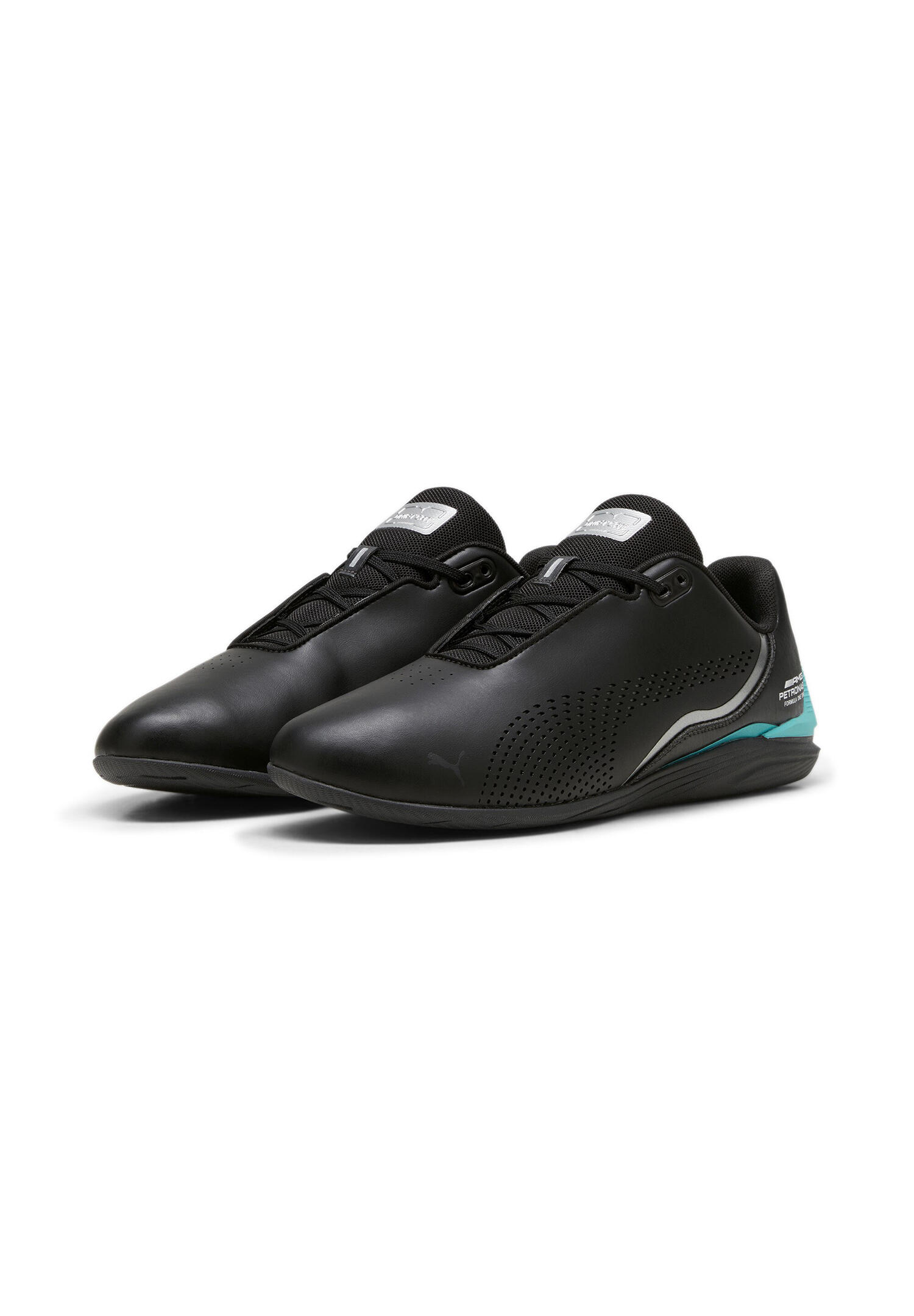 PUMA picture