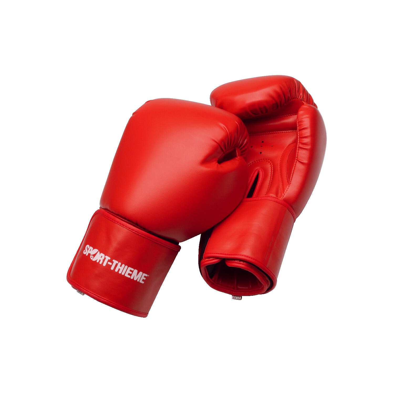 SPORT-THIEME picture