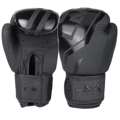 Boxhandschuhe "Level 5" black/red (001)