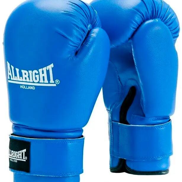 Боксови ръкавици ALLTO SPORT TRAINING PRO