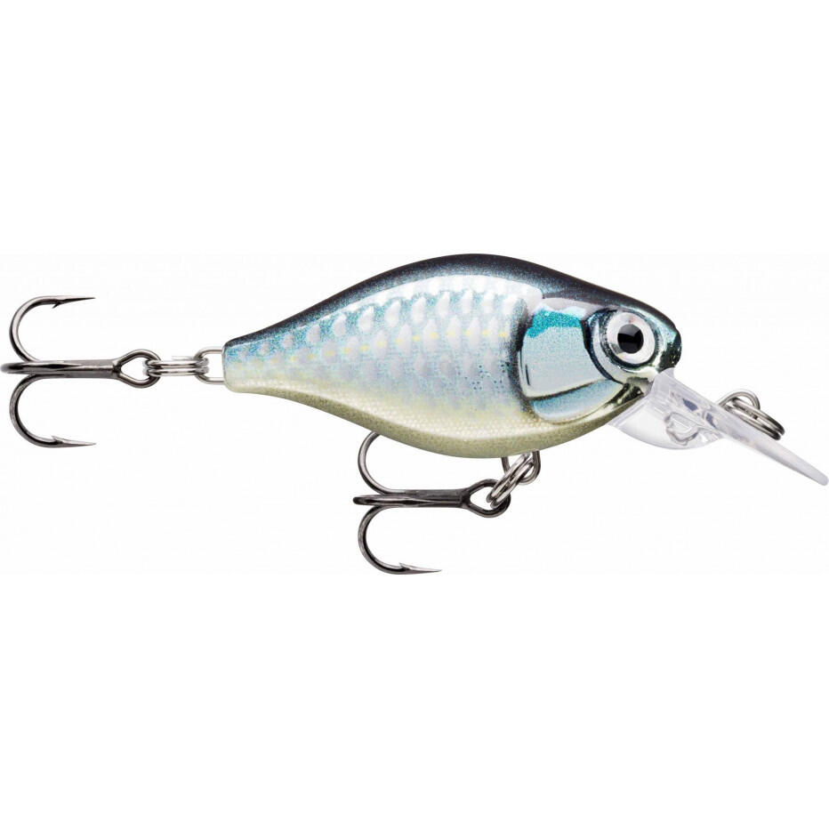RAPALA picture