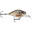 Poisson Nageur Rapala X-Light Crank Mid Runner 3,5cm (4g - ROL - 3,5cm)