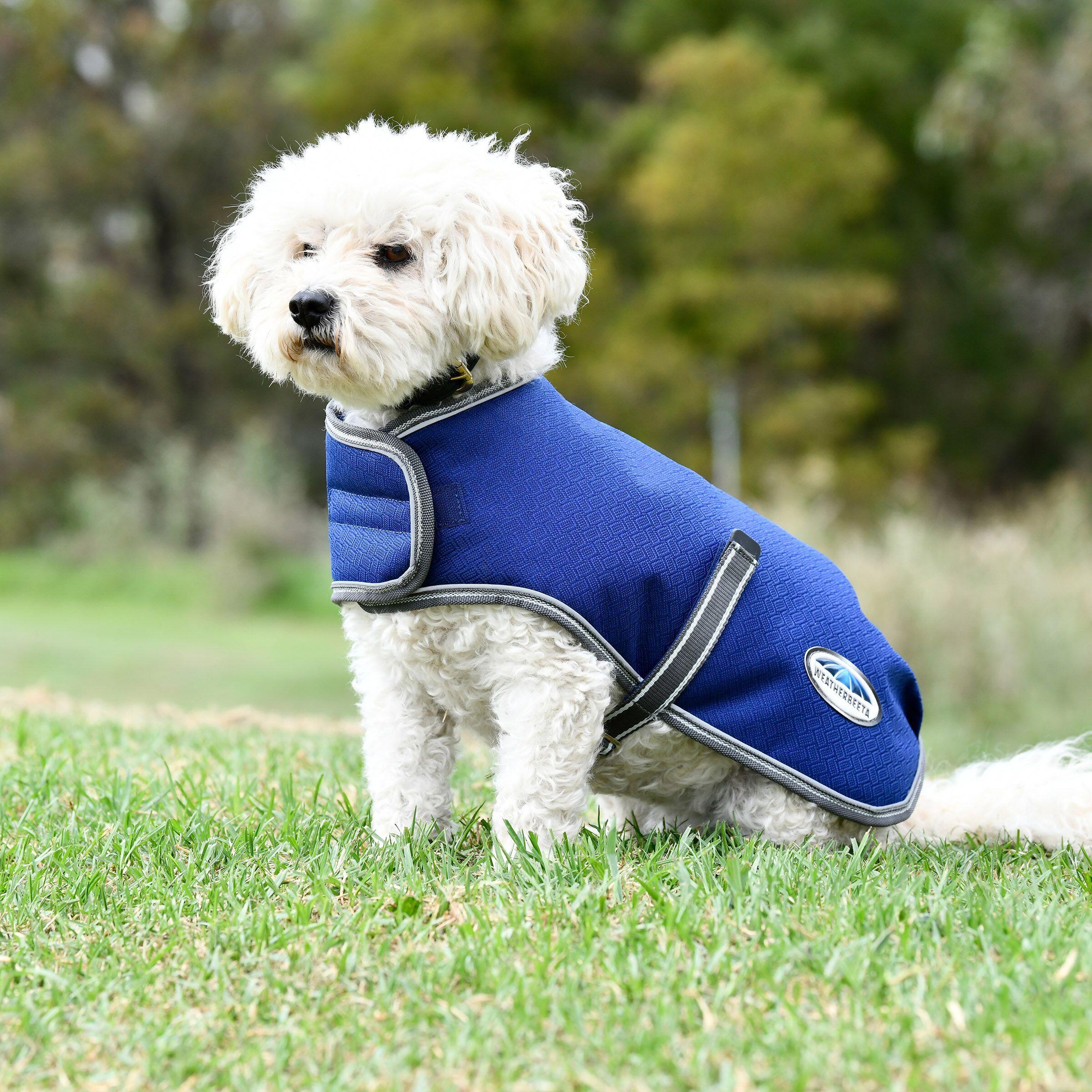 Dog coat Weatherbeeta ComFiTec Premier Free Parka 3/3