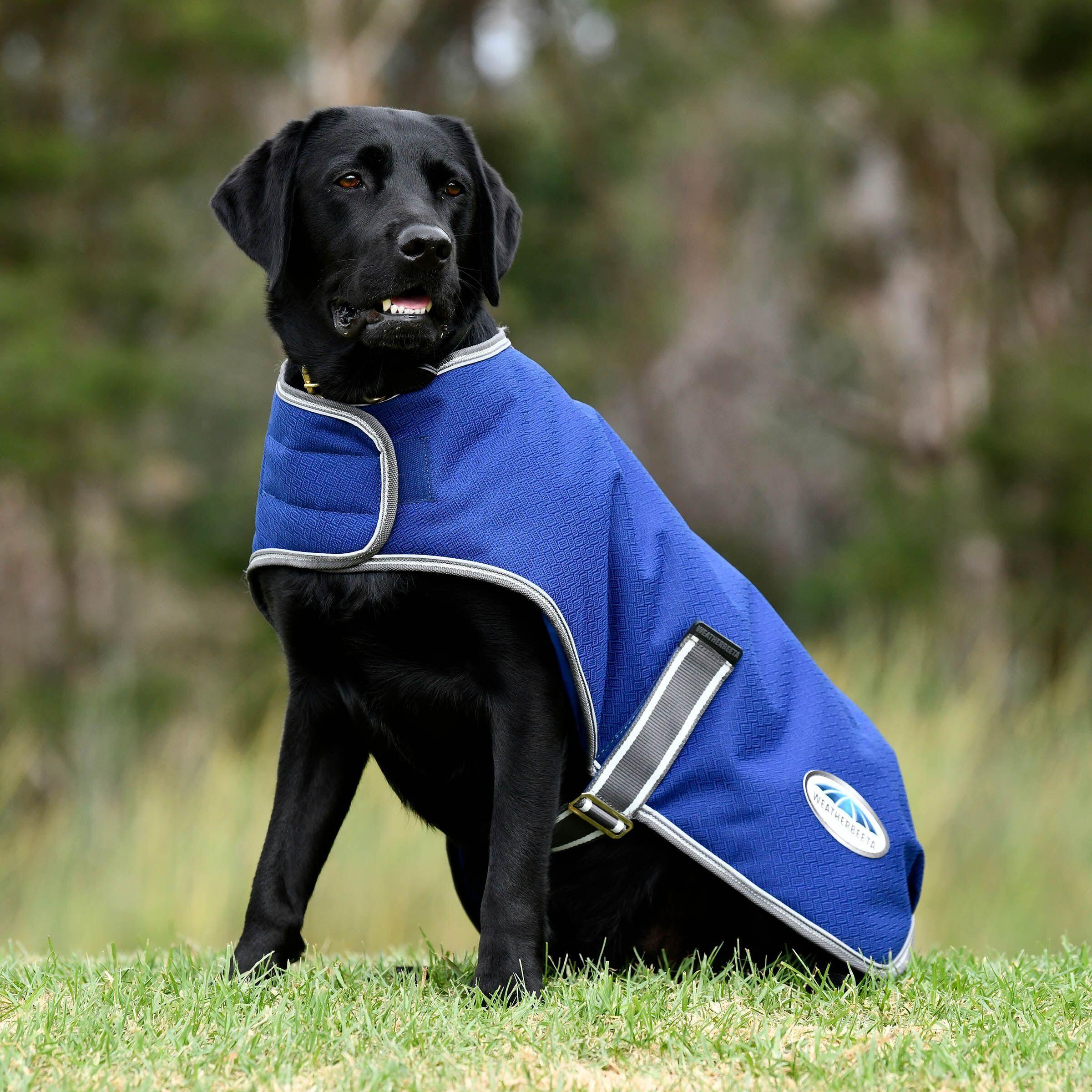 Dog coat Weatherbeeta ComFiTec Premier Free Parka 2/3