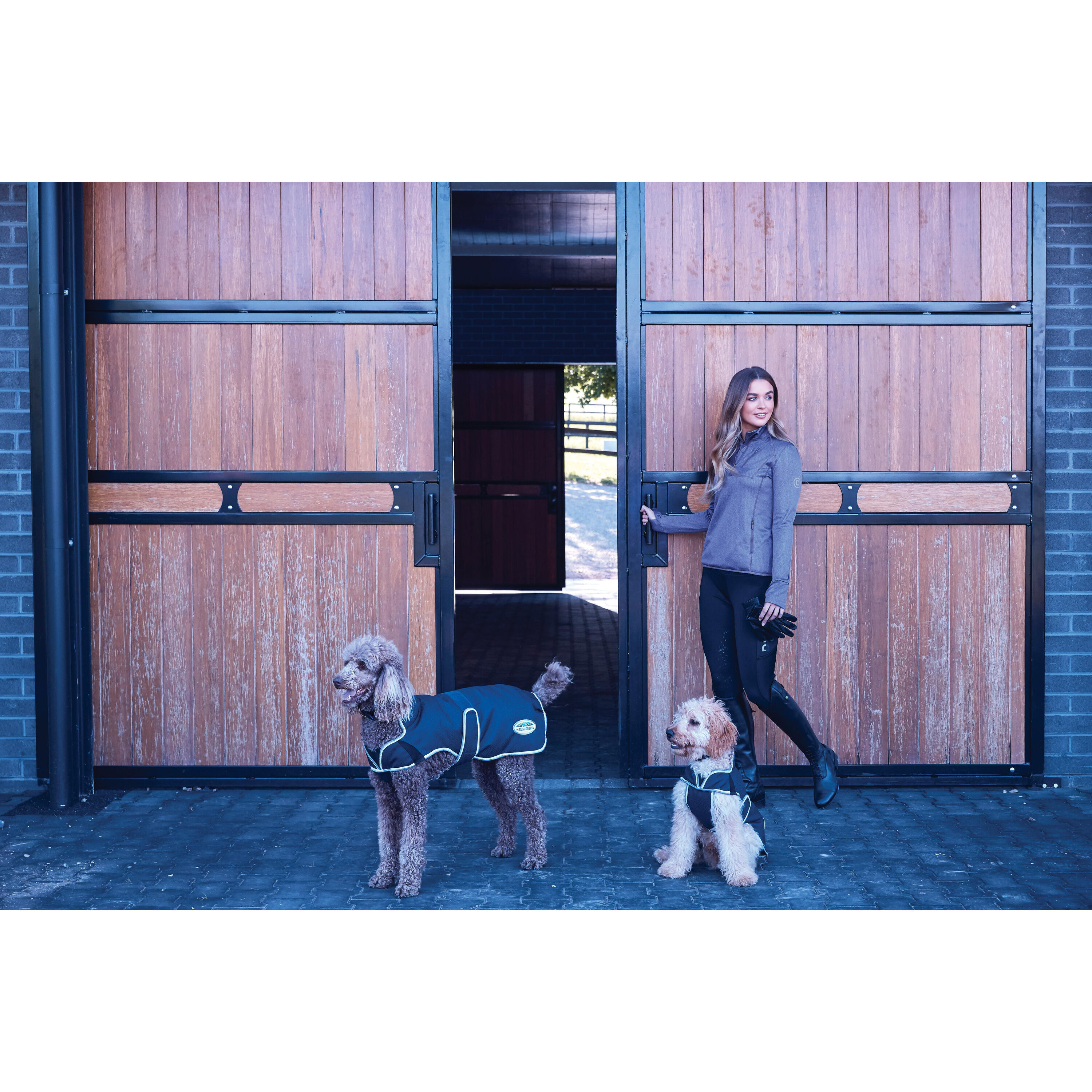 Abrigo para perro Weatherbeeta ComFiTec Premier Free Duo Deluxe Parka 3/3