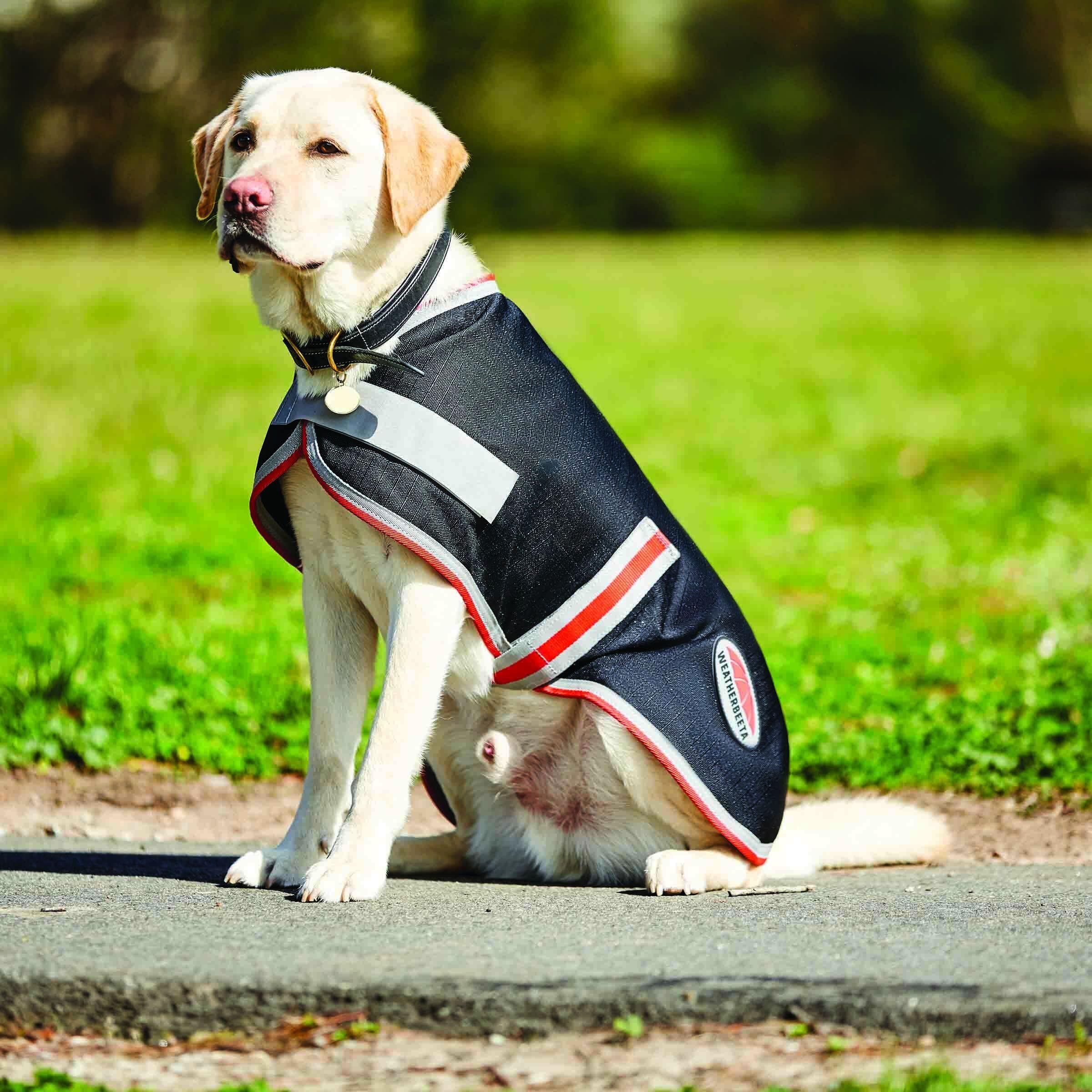 Hundemantel Weatherbeeta ComFiTec 1200D Therapy-Tec 3/3