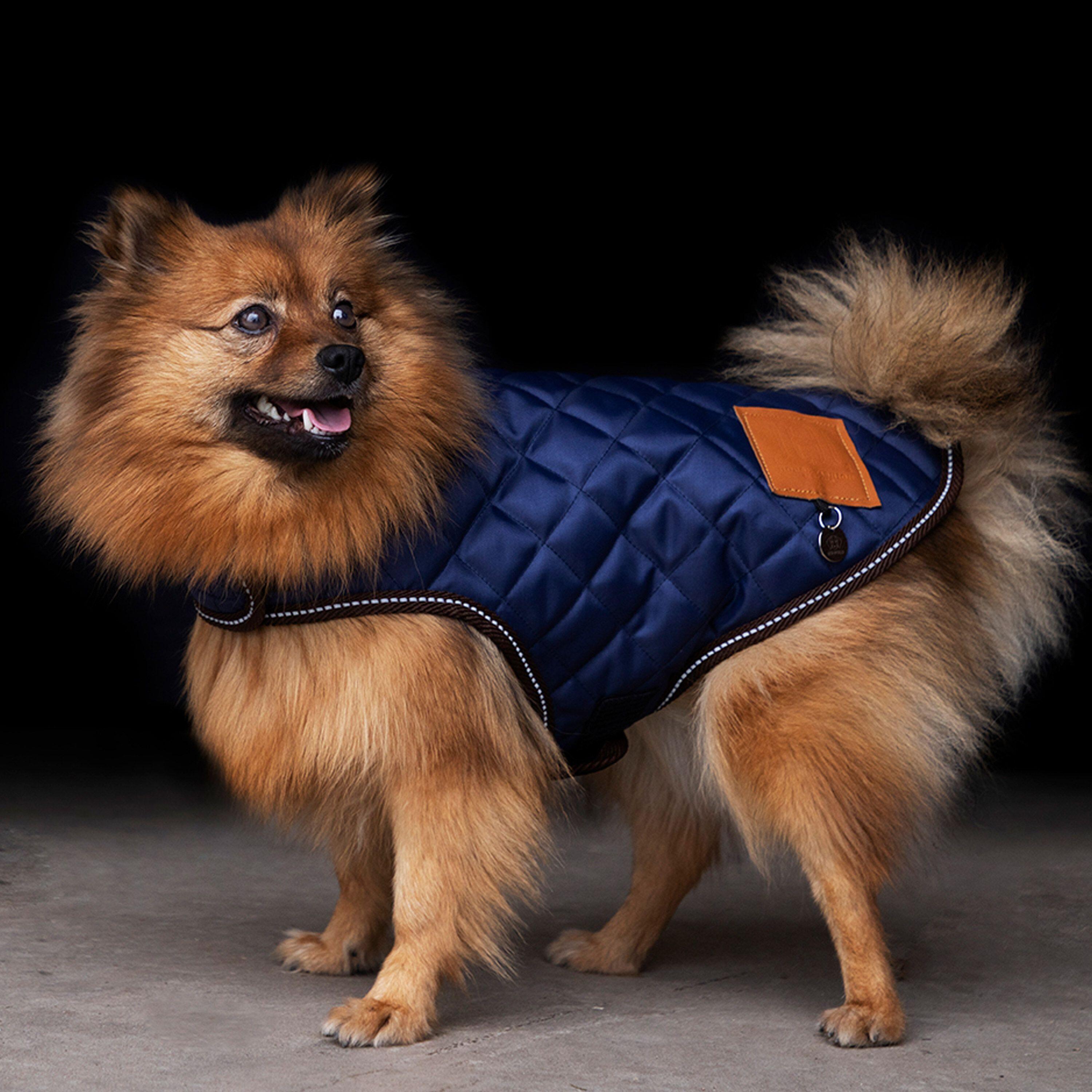 Cappottino per cani HV Polo 2/4