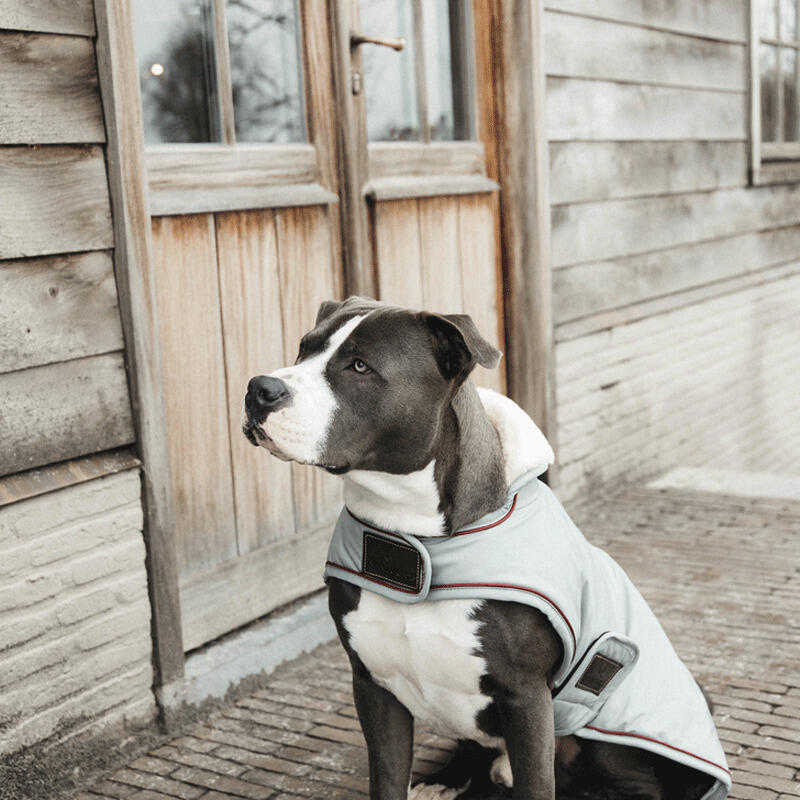 Wasserdichter Hundemantel Kentucky 160g 2/7