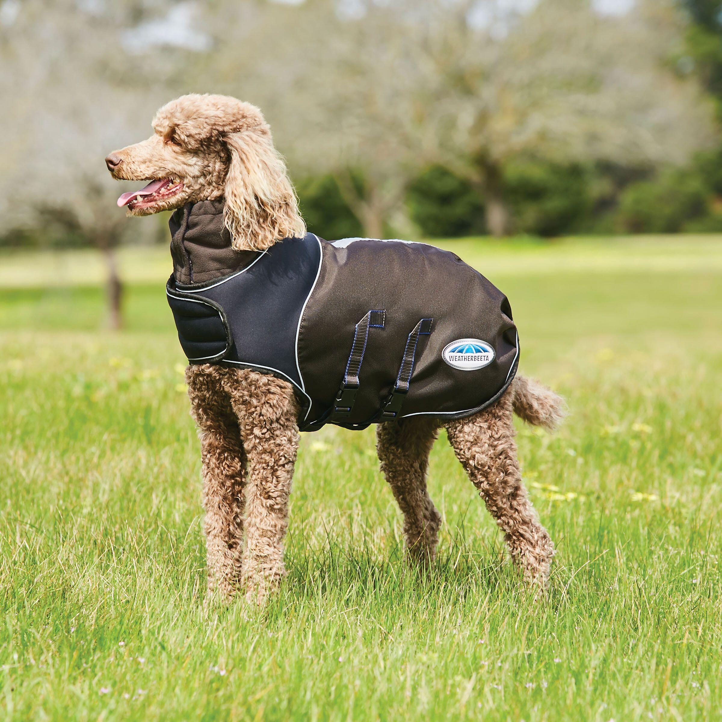 Hundemantel Weatherbeeta ComFiTec Ultra Cozi 3/4