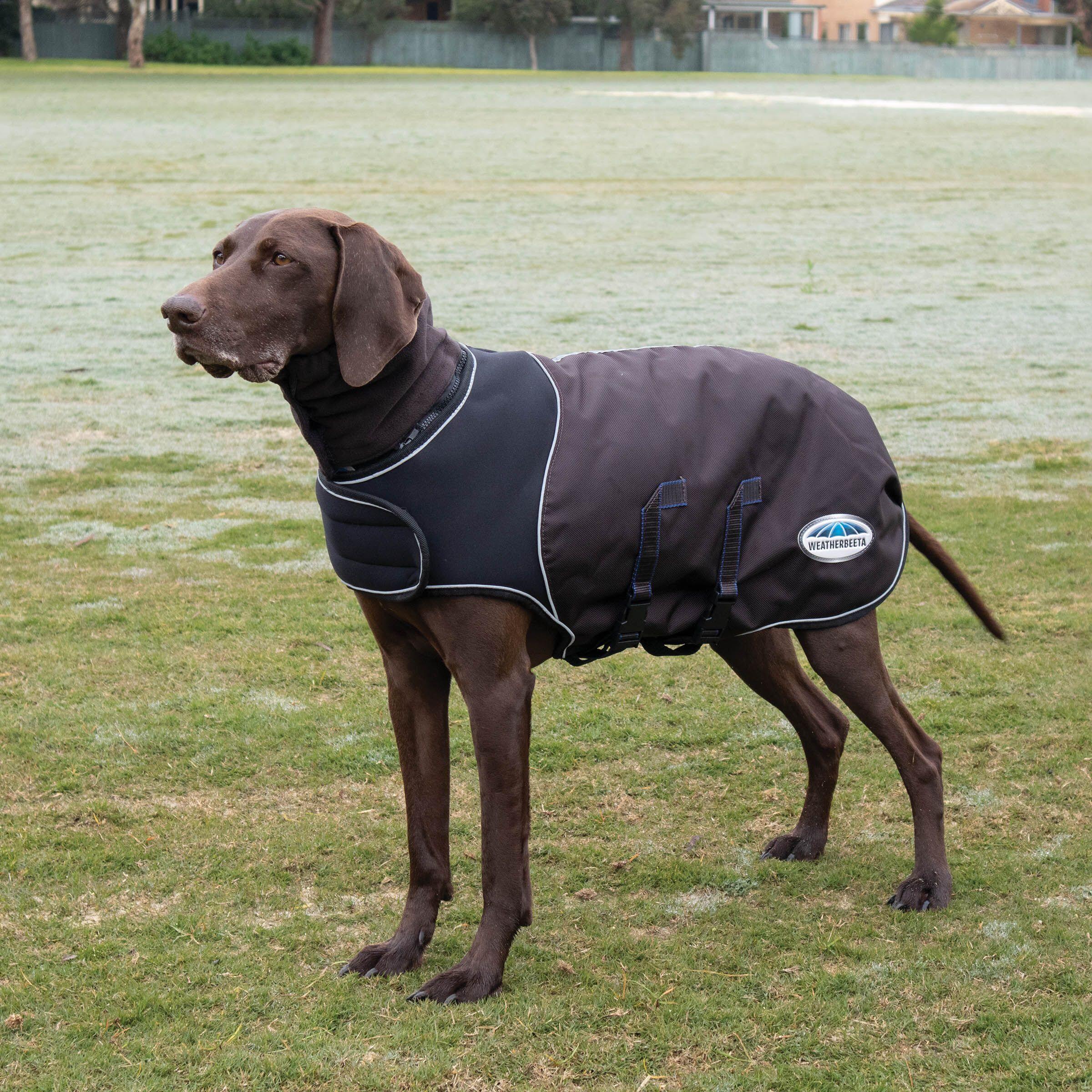 Hundemantel Weatherbeeta ComFiTec Ultra Cozi 4/4