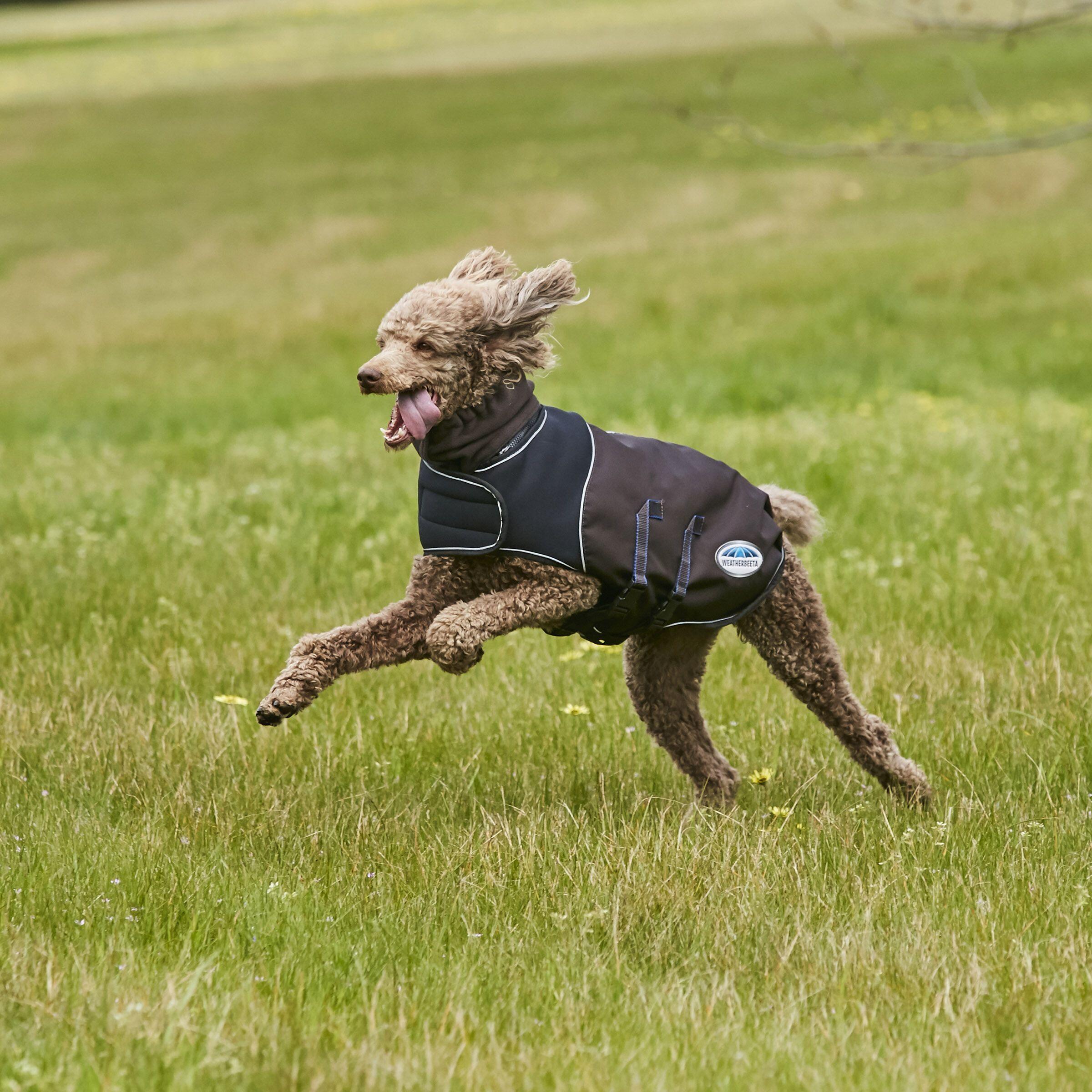 Hundemantel Weatherbeeta ComFiTec Ultra Cozi 2/4