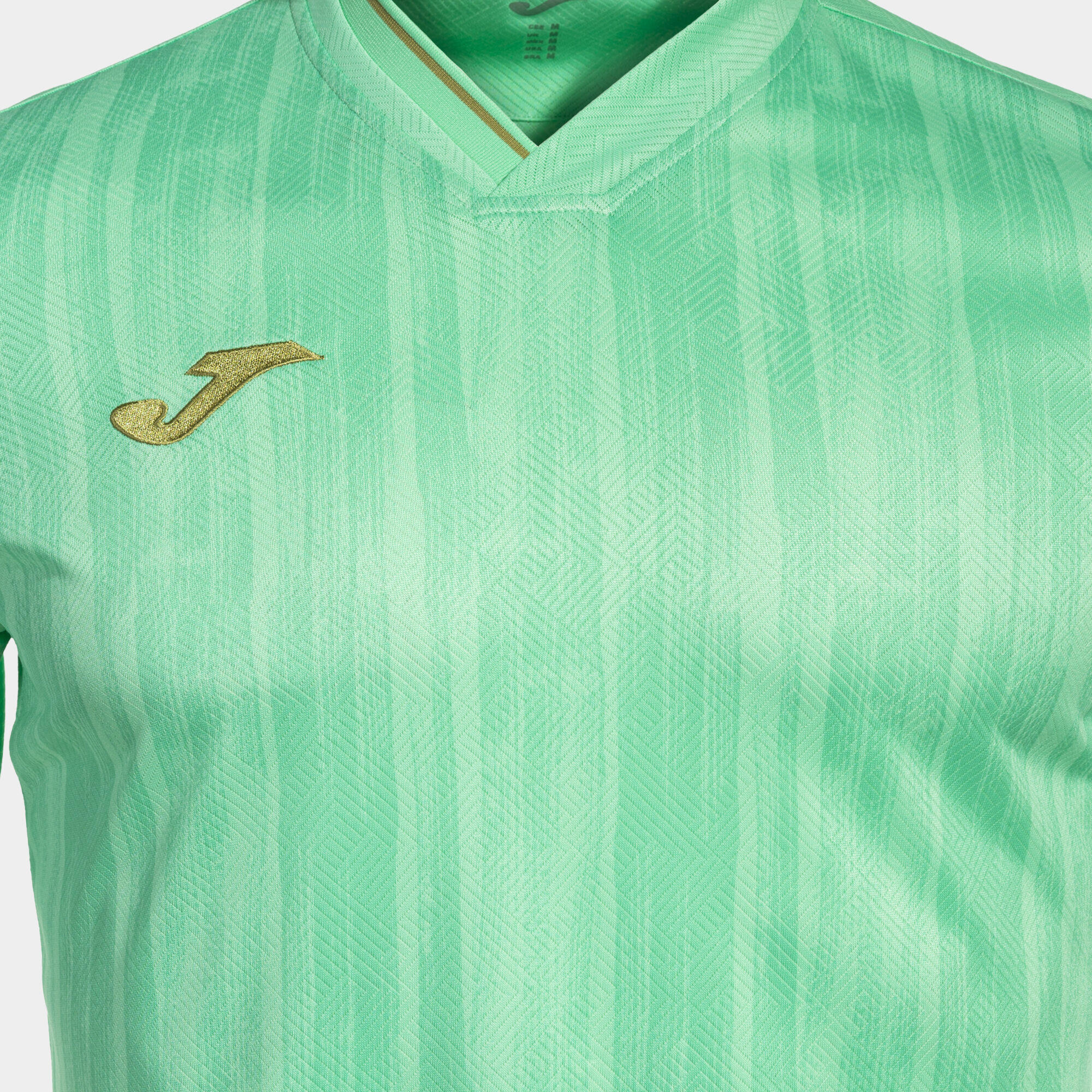 Maillot Joma Gold VI 5/5