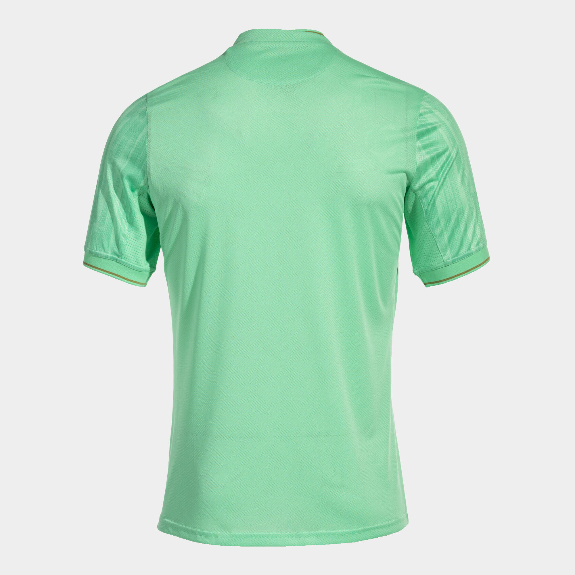 Maillot Joma Gold VI 2/5