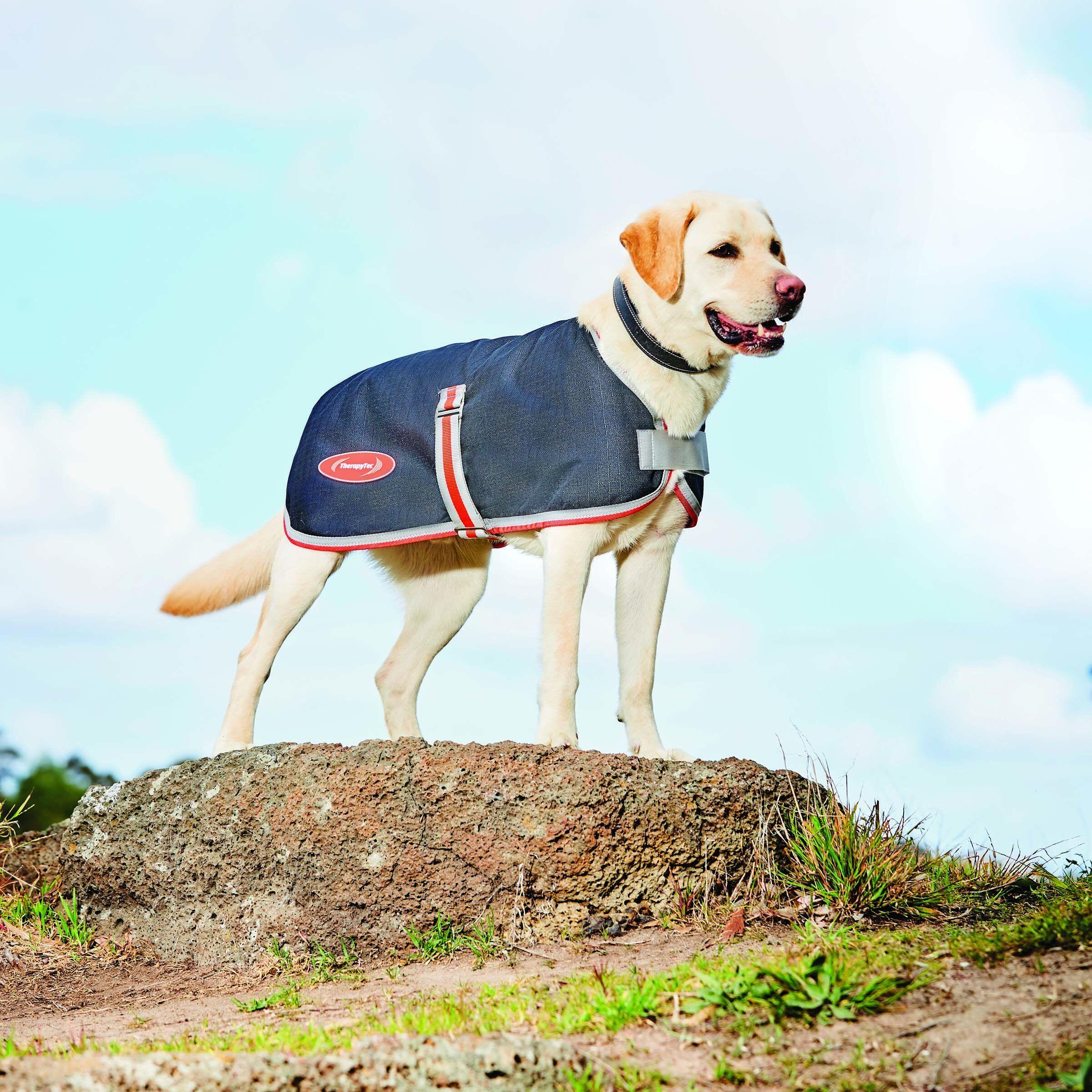 Manteau pour chien Weatherbeeta ComFiTec 1200D Therapy-Tec 4/5