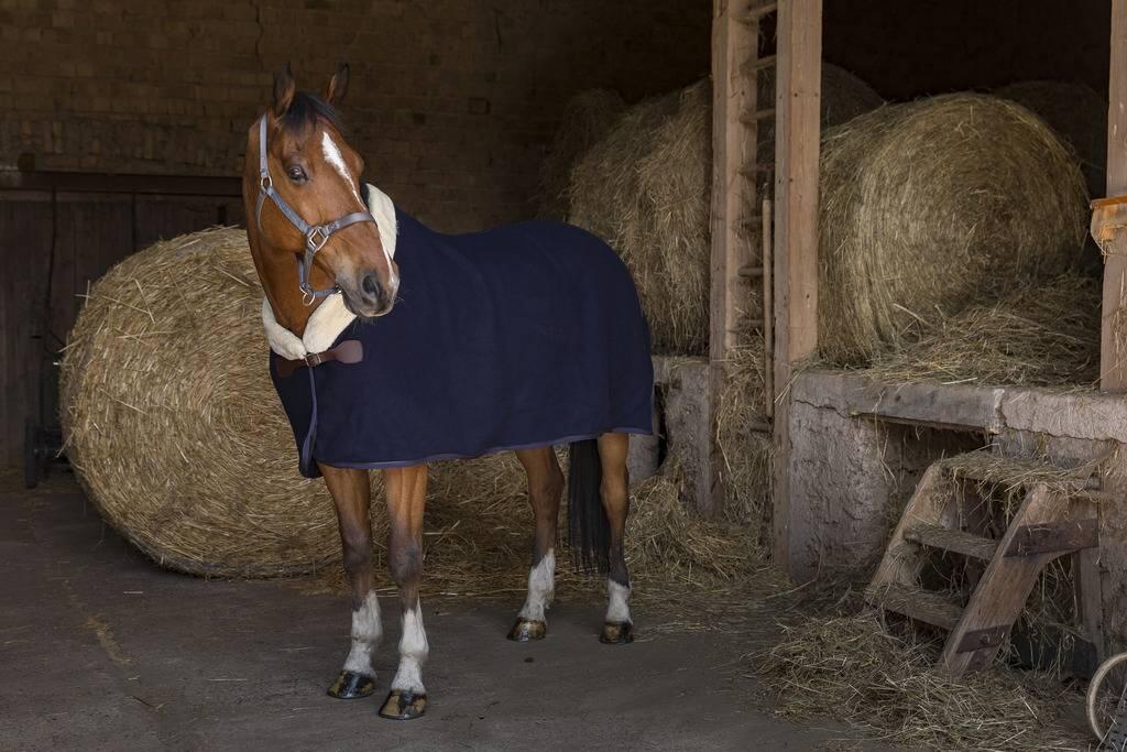 EQUITHÈME picture