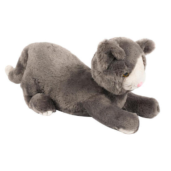 Gewichtstier Katze Kinderturnen Unisex