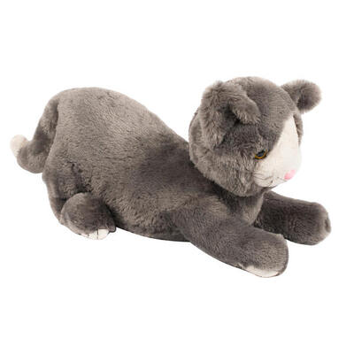 Gewichtstier Katze Kinderturnen Unisex