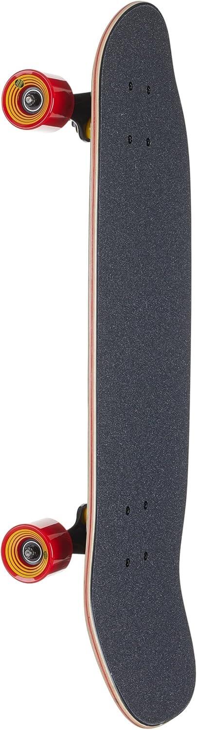 Santa Cruz Cruiser Classique Dot 8,79 x 29,05 3/3