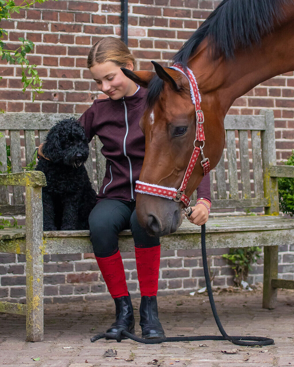 QHP Halsterset Kerst Rudolph - Rood (Full) 2/3