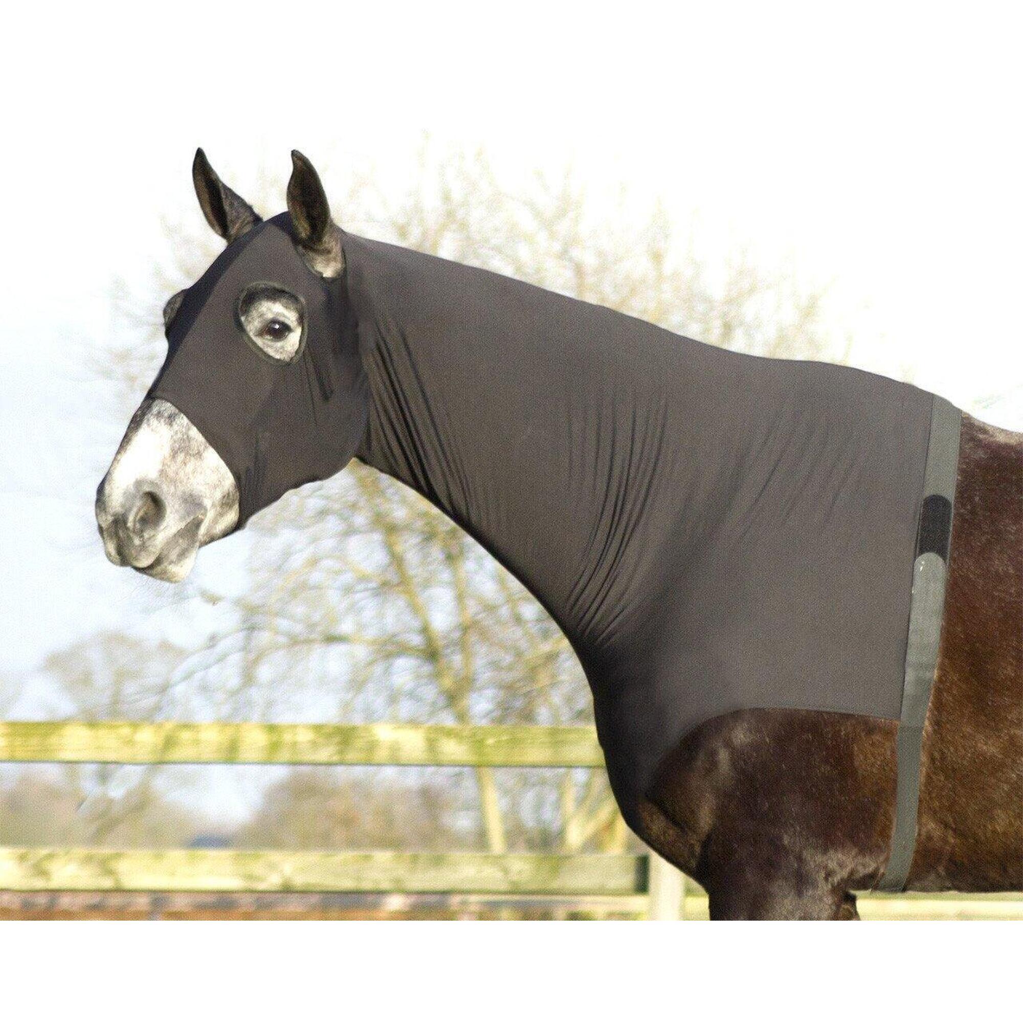 Qhp - Qhp Elastische Halsbeschermer - Zwart - Couverture Cheval - Noir - S - Decathlon