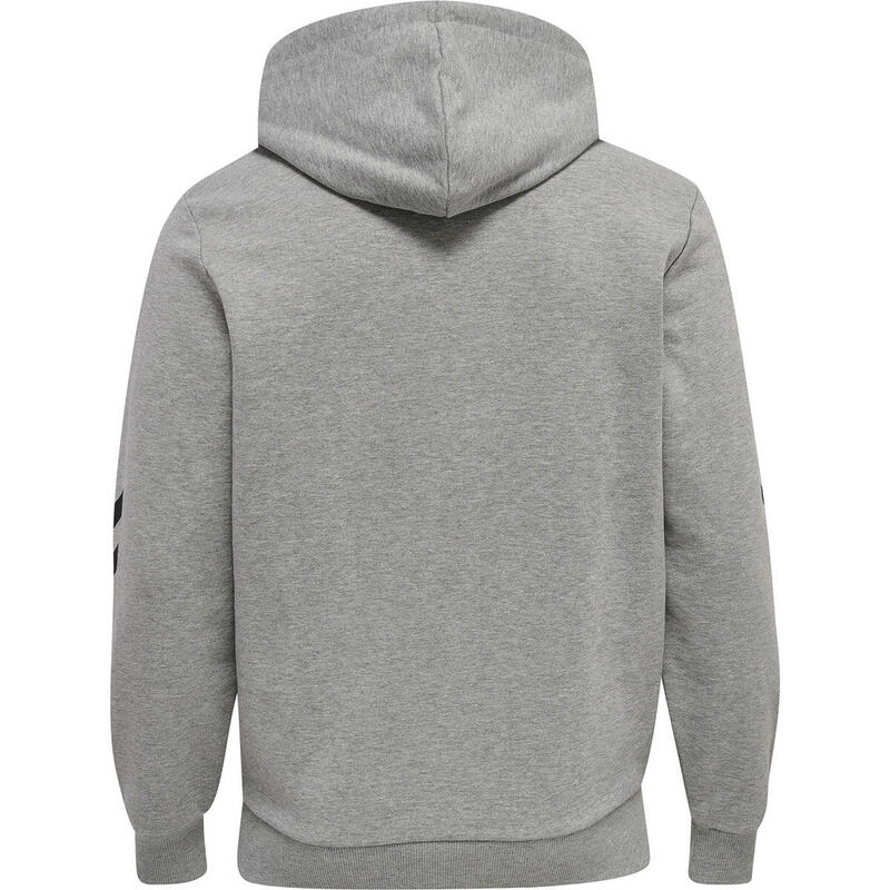 Hooded sweatshirt Hummel hmlLGC graham