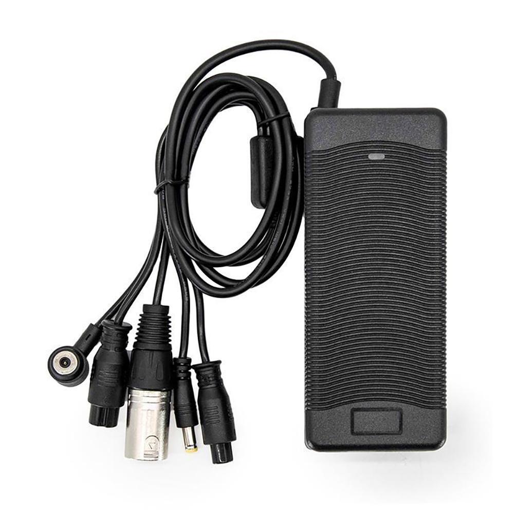Cargador 36V 2A con conectores Ewheel 2/5