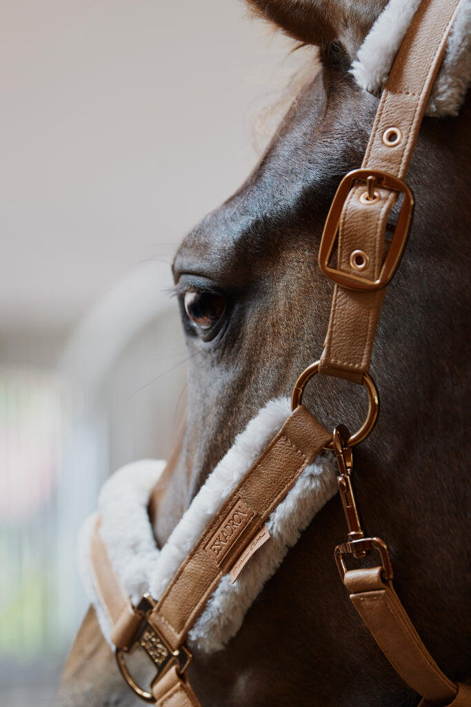 ESKADRON Eskadron Headcollar Double Pin Metallic Faux Platinum 23 Cognac