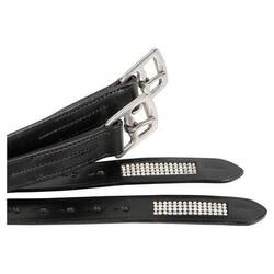 Etrivières Crystal - Harry's Horse