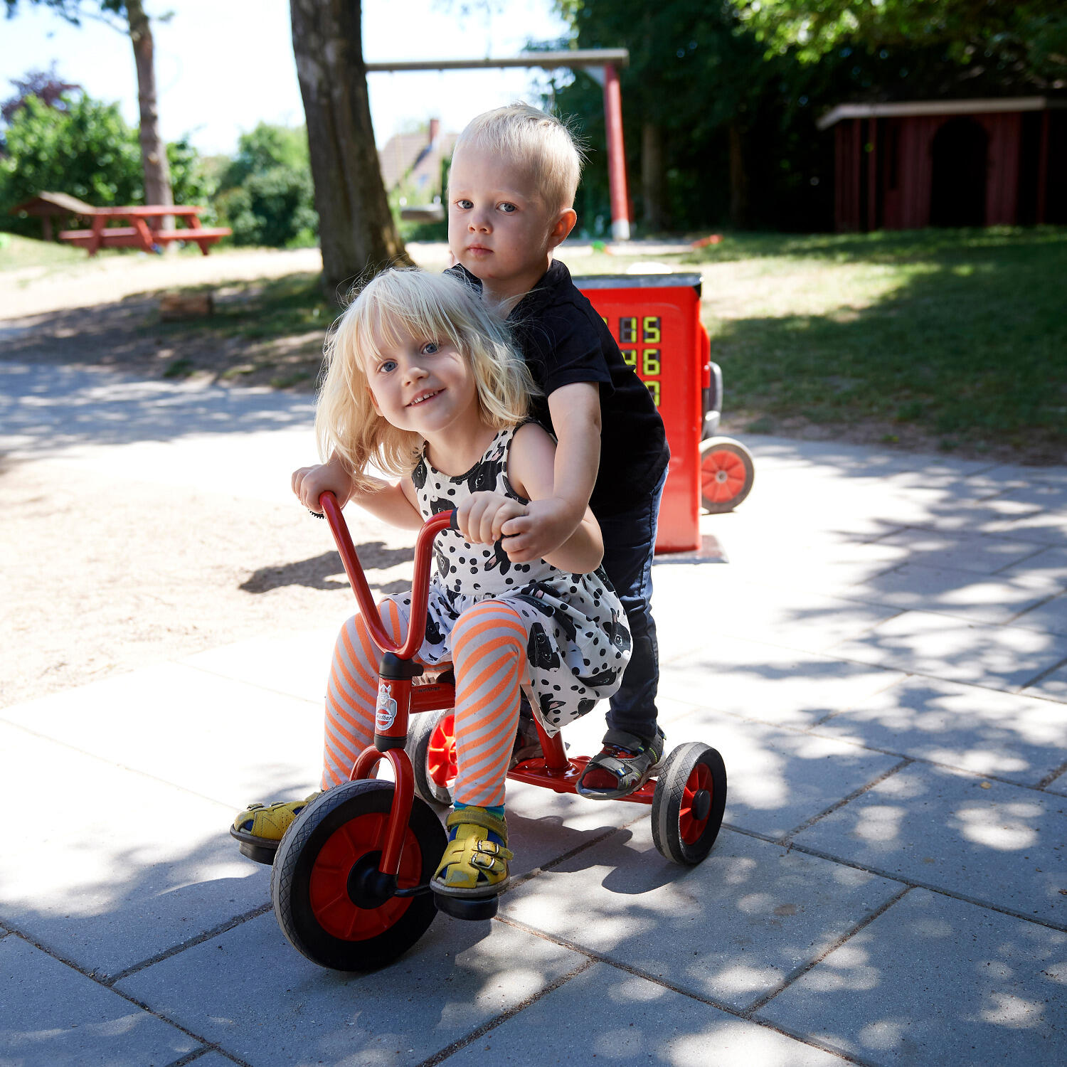 Mini Viking Dreirad mit Steg Scooter Unisex 2/3