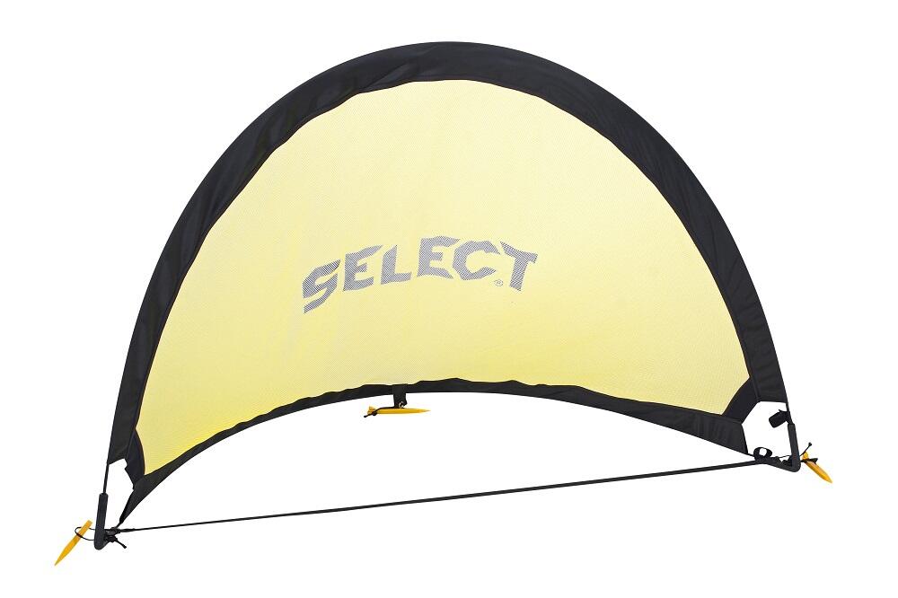 SELECT picture