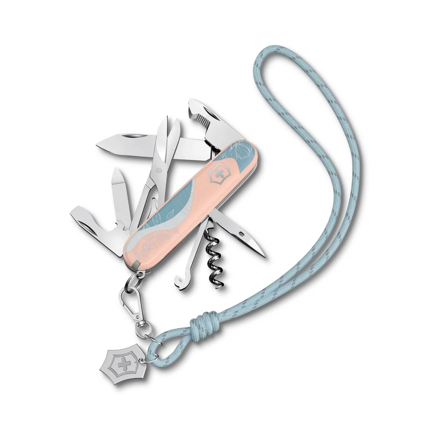 VICTORINOX picture