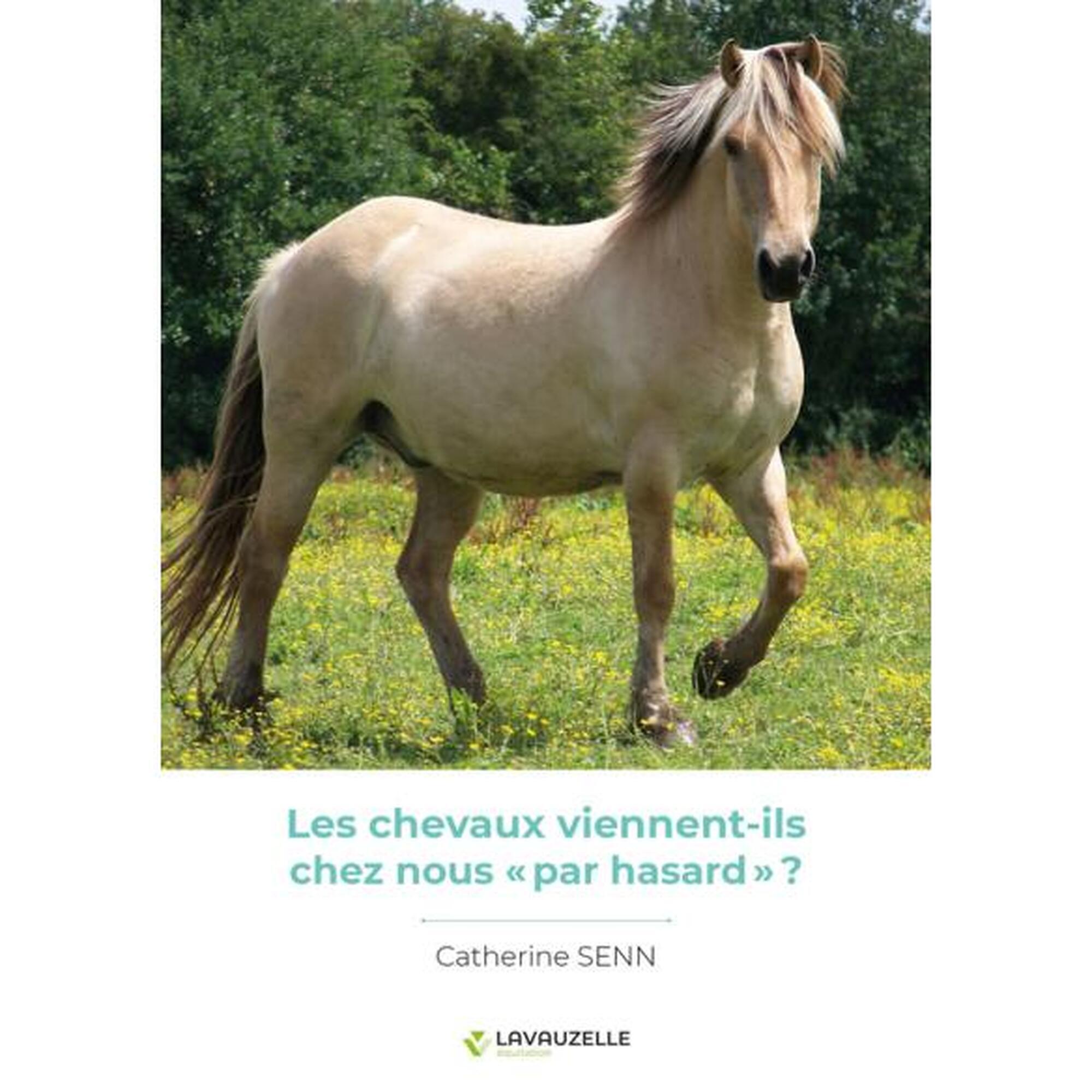 Les chevaux viennent-ils chez nous « par hasard » ?