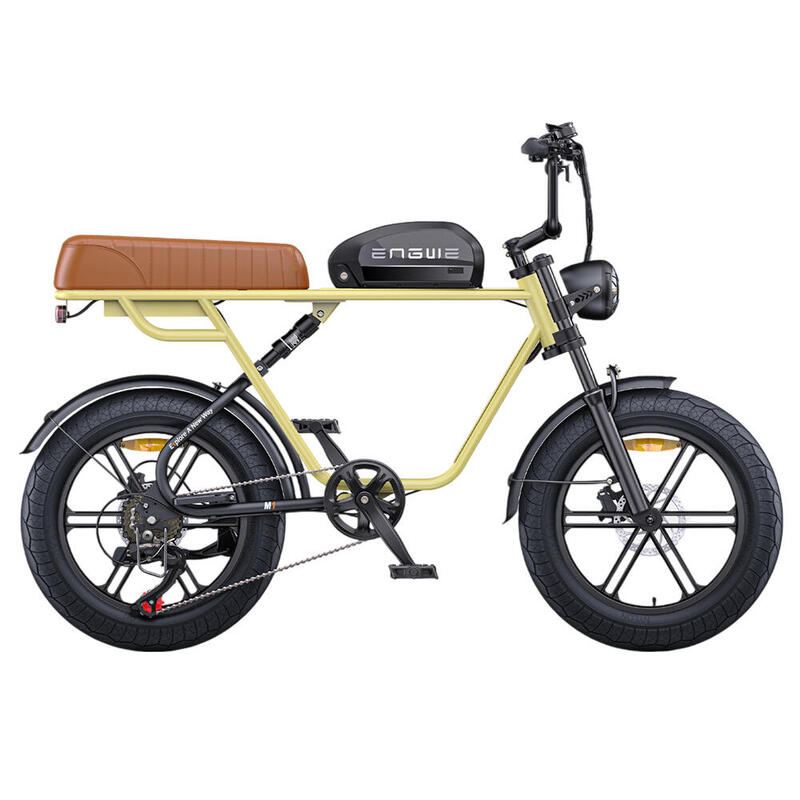 Vélo électrique ENGWE M1 250W 15.6AH