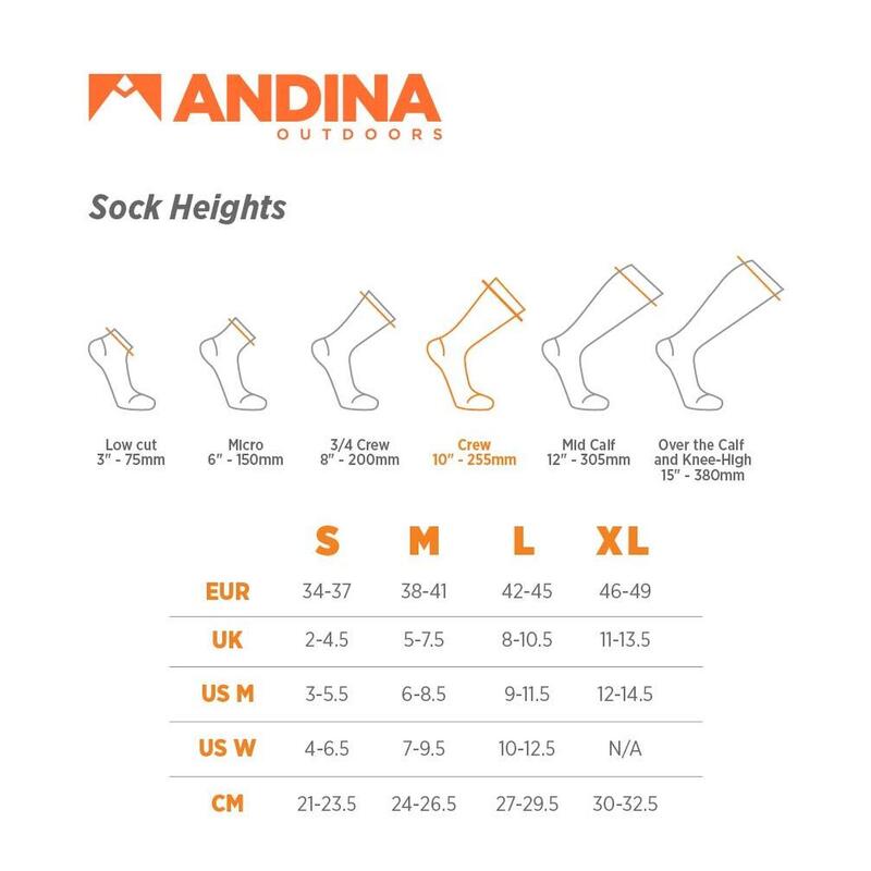 Chaussettes de randonnée thermiques en mérinos et alpaga pour hommes et femmes