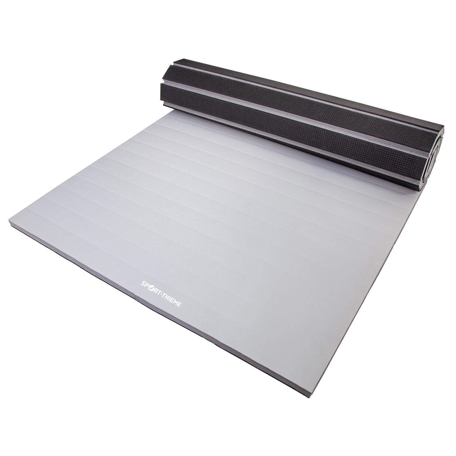 SPORT-THIEME picture