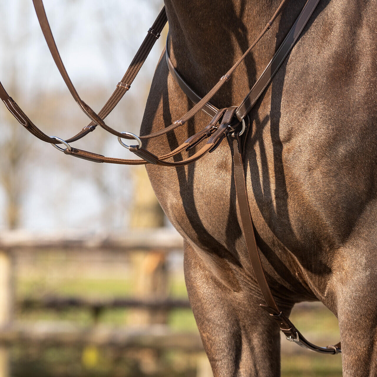 Collier de chasse pour cheval QHP Basic Pro 7/7