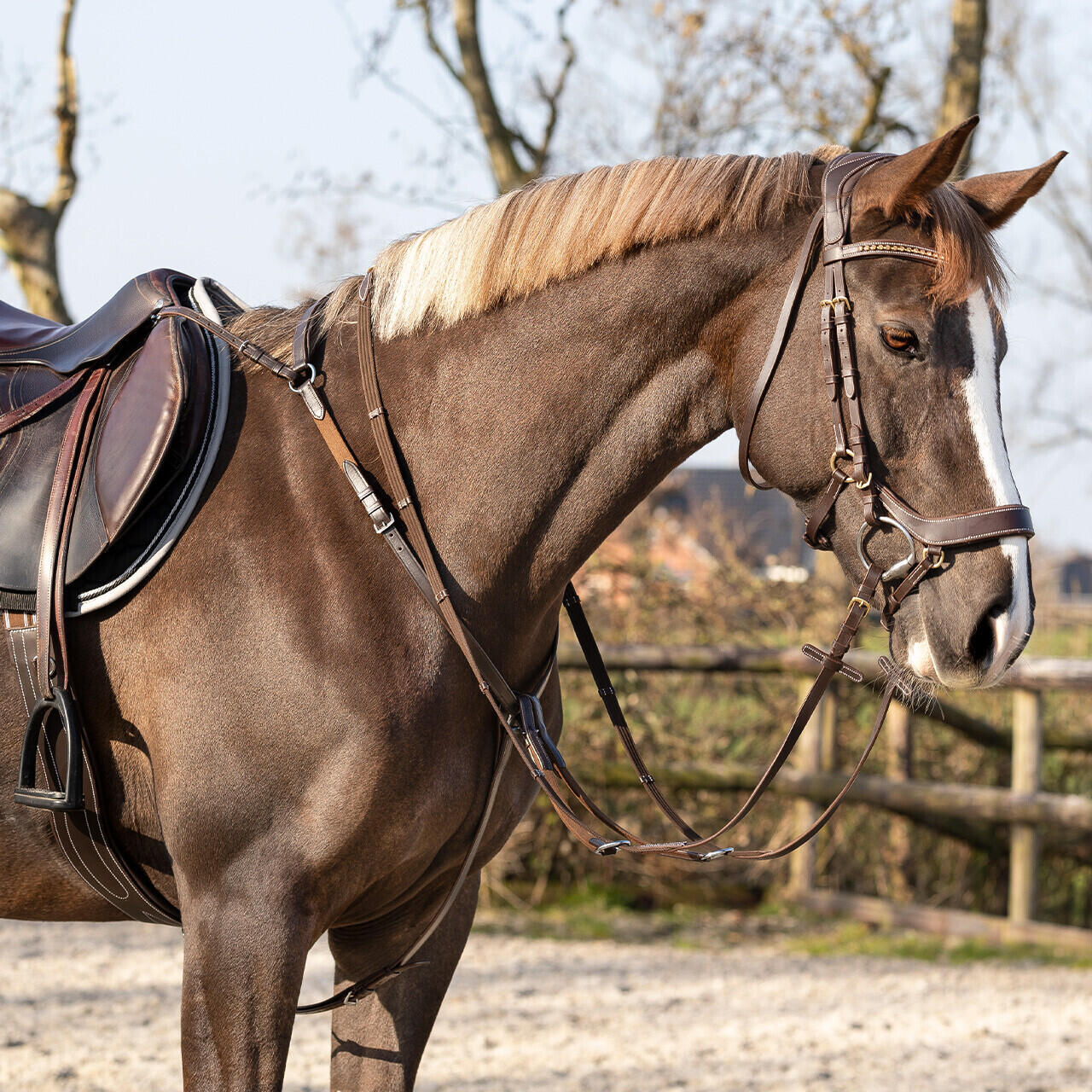 Collier de chasse pour cheval QHP Basic Pro 5/7