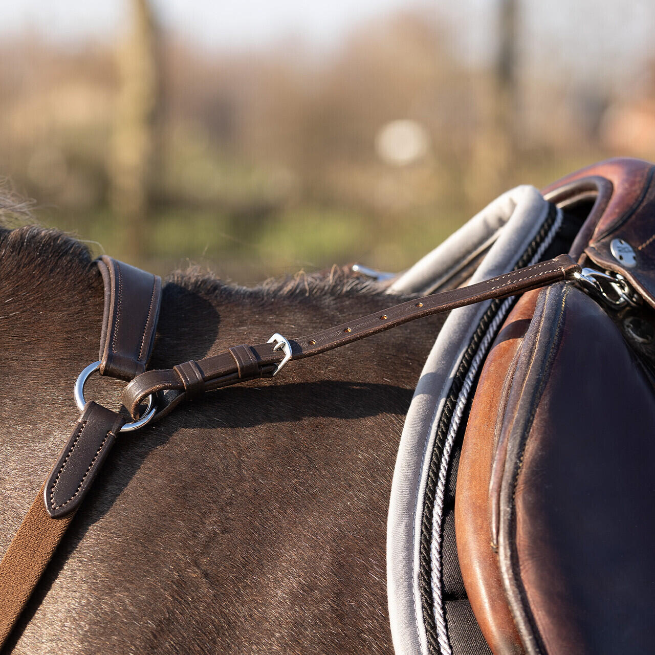 Collier de chasse pour cheval QHP Basic Pro 6/7
