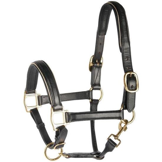 Licol pour cheval en cuir avec passepoil Harry's Horse