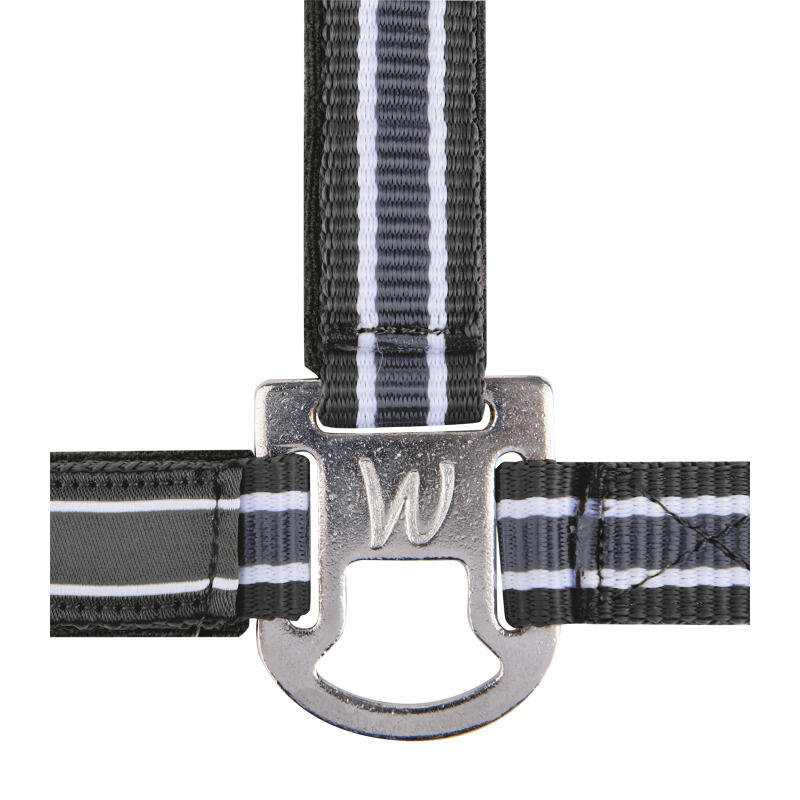 Licol pour cheval Waldhausen Atheltic 4/5
