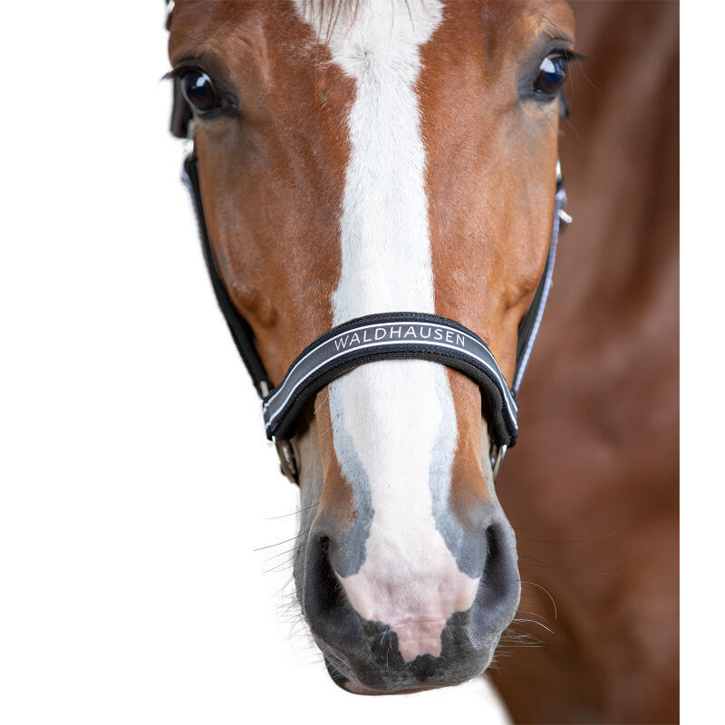 Licol pour cheval Waldhausen Atheltic 3/5