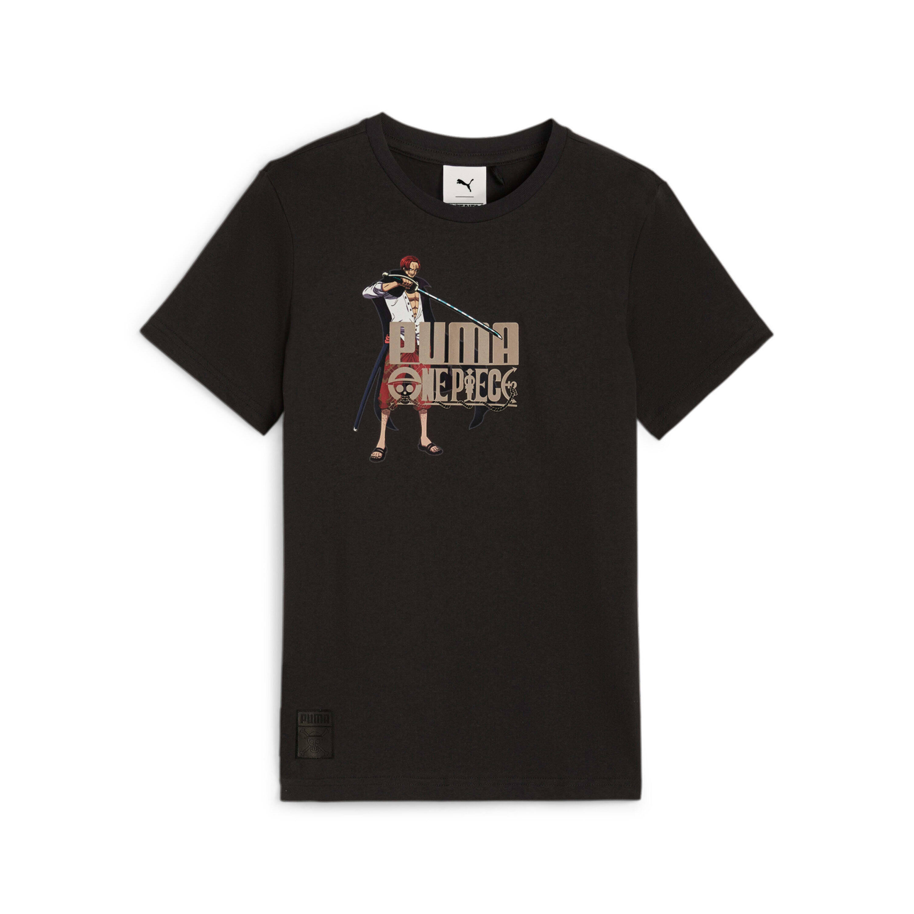 PUMA picture