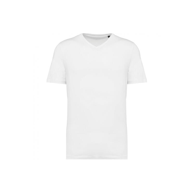 fe54abe0-779a-4c3f-8c4d-bcf83cdabfda_c4