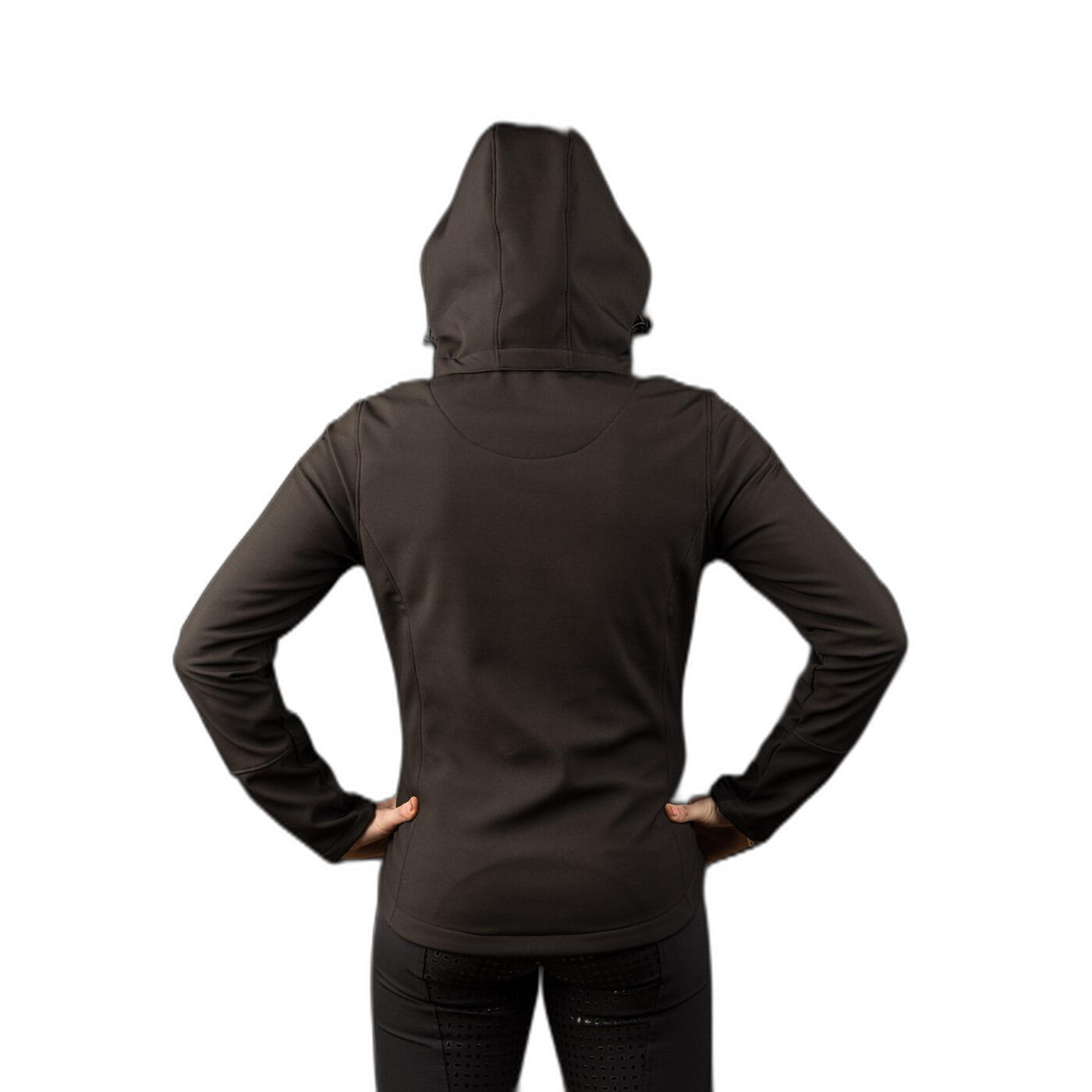 Veste softshell femme Harry's Horse Chicago 4/4