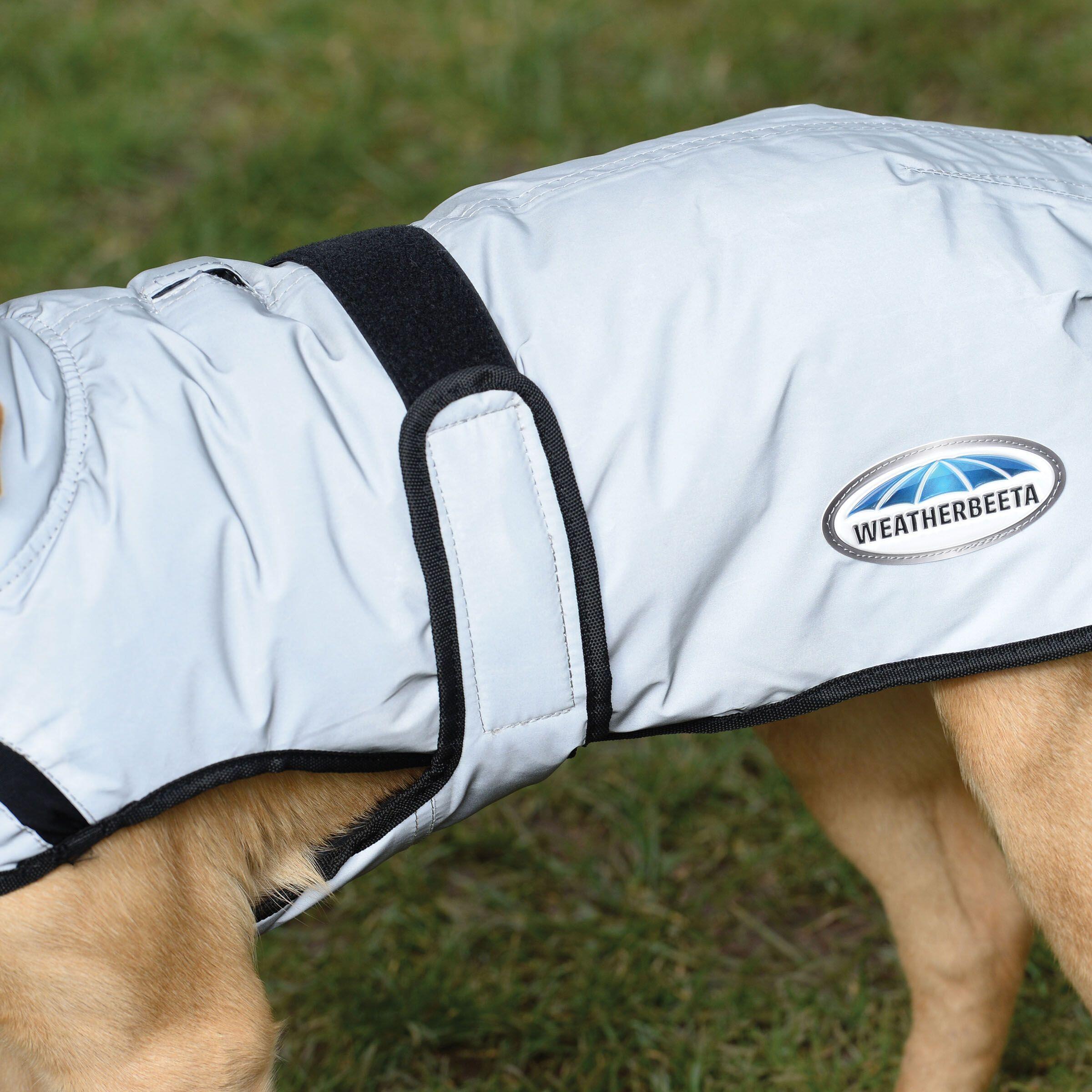 Manteau pour chien réfléchissant Weatherbeeta Comfitec moyen 2/5