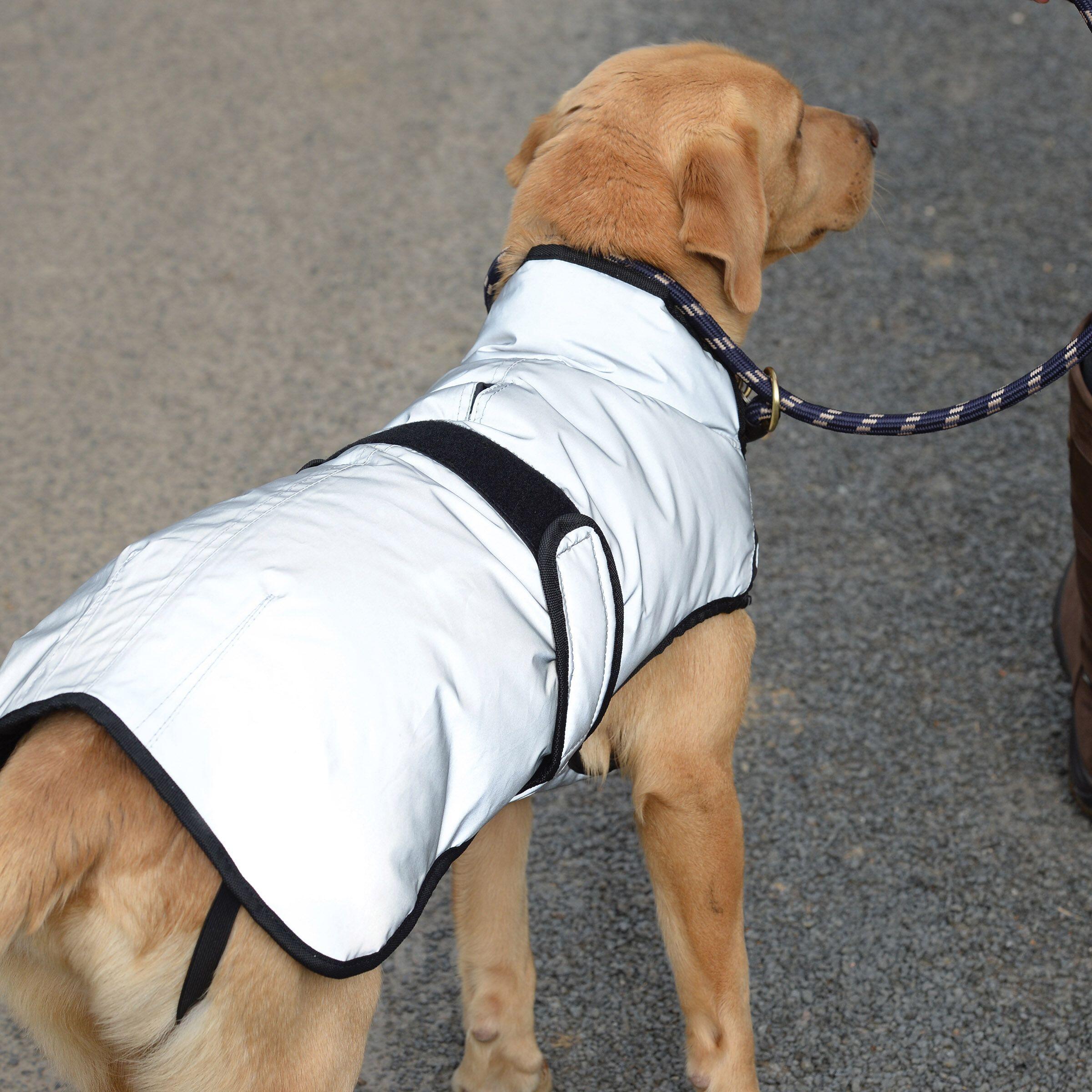 Manteau pour chien réfléchissant Weatherbeeta Comfitec moyen 4/5