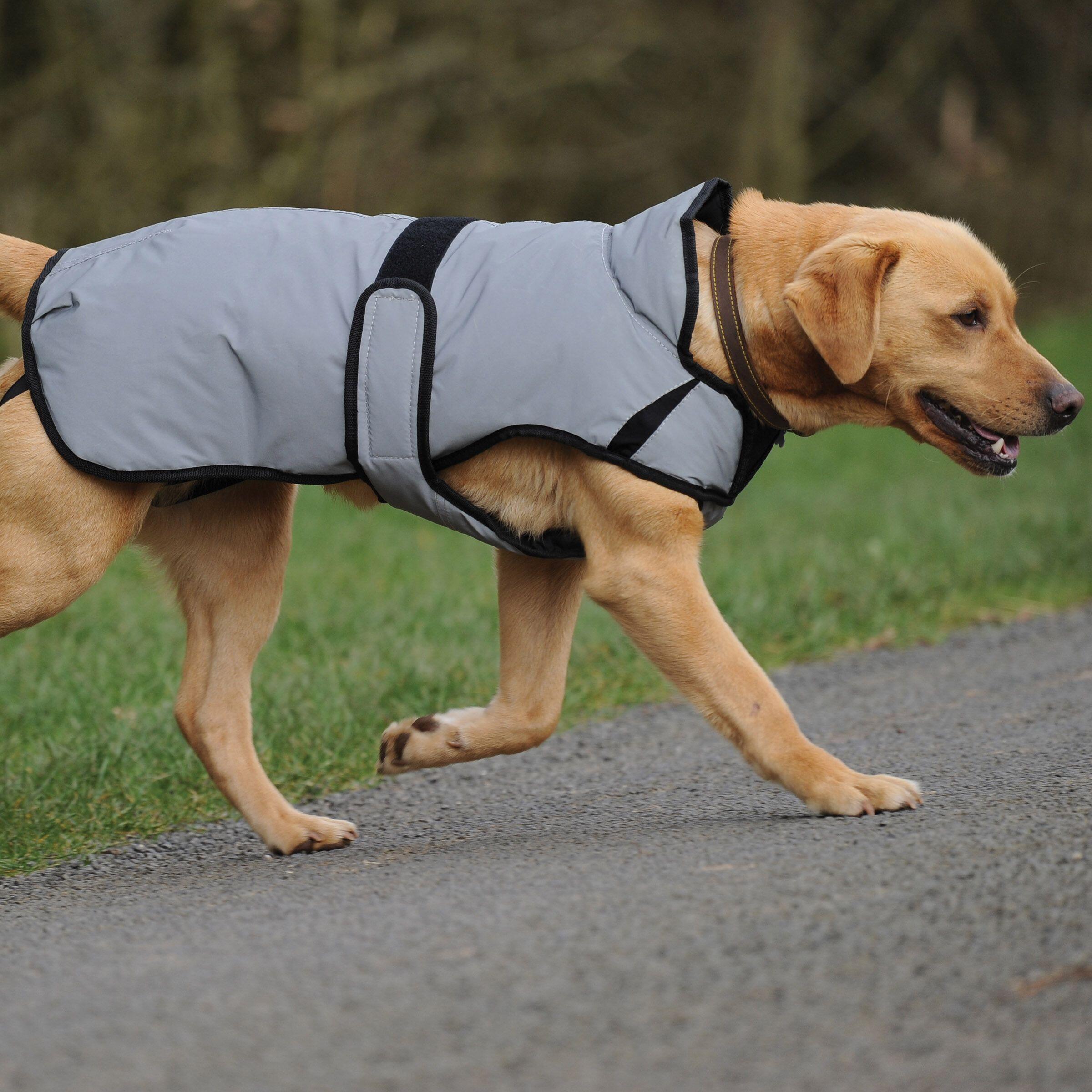 Manteau pour chien réfléchissant Weatherbeeta Comfitec moyen 5/5