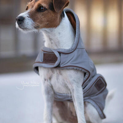 Reflektierender und wasserabweisender Hundemantel Kentucky