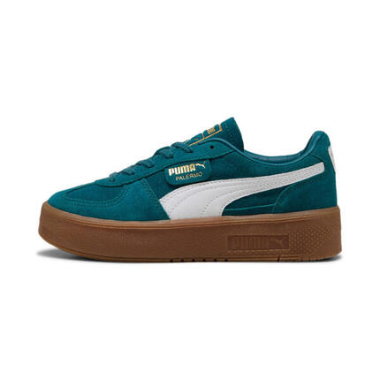 Trenerzy damscy Puma Palermo Elevata